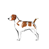 I Just Really Like Brittanys