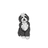 I Just Really Like Bernedoodles