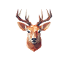 Origami Deer Geometry