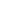 Wolf Vegvisir Rune