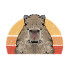Capybara rodent