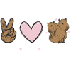 Capybara rodent