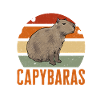 Capybara rodent