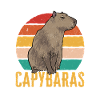 Capybara rodent