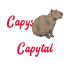 Capybara rodent