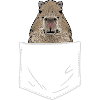 Rongeur Capybara