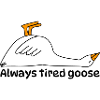 Always tired goose