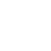Spring - Dandelion