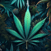 WeedClub Legalization 2023. Decriminalization