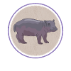 Hippo Baby | Hippo Hippos Gift