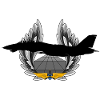 F-14 Tomcat