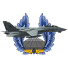 F-14 Tomcat