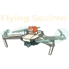 Flughörnchen - Eichhörnchen in Quadrocopter