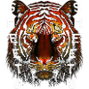 Tiger between