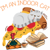 Indoor cat