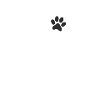 Dog Hund