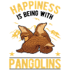 Pangolin Lucky Pangolin