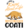 Coati Cadeau Proboscis Bear Coati
