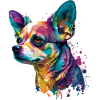 Beautiful Chihuahua