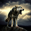 Aggressive wolf on a mountain