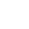 Game Developer