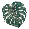 Dotted Monstera Leaf, Plant Motif