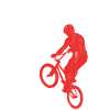 Drapeau BMX USA
