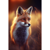 Fox Fox Animal Cute