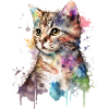 Aquarelle Chaton Cat Art