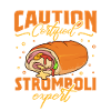 Stromboli Experte - Stromboli