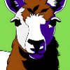 Lama Shirt