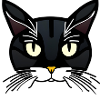 Katzen Shirt