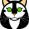 Katzen Shirt