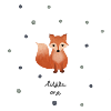 Little Vixen