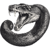 Snake