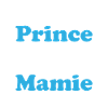 petit prince de mamie