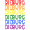 DIEBURG 7farbig Regenbogen