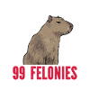 Capybara rodent