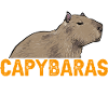 Capybara rodent