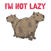 Capybara rodent