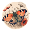 Peacock Butterfly