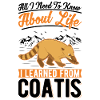 Coati Gift Proboscis Bear Coati
