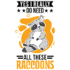 Raccoon Gift Raccoon