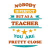 Nobody is perfect retro Teacher