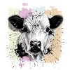 Vache