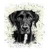 Chien Dogue Dogue Noir