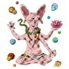 Sphynx Cat Meditation