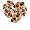 Herz Erdmännchen