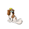 I Just Really Like Cavaliers