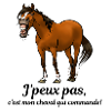 Mon cheval commande